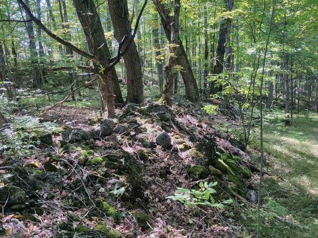 0WEST ROAD ALLOWANCE ROAD Havelock-Belmont-Methuen Ontario, K0L 1Z0 - Vacant Land For Sale