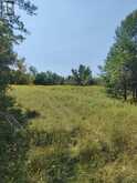0WEST ROAD ALLOWANCE ROAD | Havelock-Belmont-Methuen Ontario | Slide Image Five