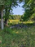 0WEST ROAD ALLOWANCE ROAD | Havelock-Belmont-Methuen Ontario | Slide Image Eight