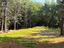 942 BALMER ROAD | Apsley Ontario | Slide Image Ten