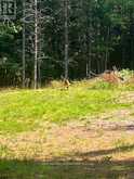 942 BALMER ROAD | Apsley Ontario | Slide Image Three