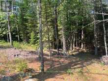 942 BALMER ROAD | Apsley Ontario | Slide Image Six