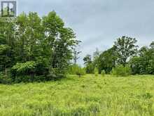 00 COOPER ROAD | Madoc Ontario | Slide Image Five