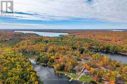 68 IRWIN DRIVE | North Kawartha Ontario | Slide Image Thirty-eight