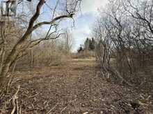 BESIDE 2885 COUNTY ROAD 10 | Hillier Ontario | Slide Image Seven