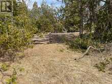 00 CONCESSION ROAD 13 E | Hastings Ontario | Slide Image Thirteen