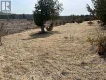 00 CONCESSION ROAD 13 E | Hastings Ontario | Slide Image Four
