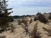 00 CONCESSION ROAD 13 E | Hastings Ontario | Slide Image Eight