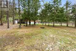 232 PARKS ROAD | Quinte West Ontario | Slide Image Forty-two
