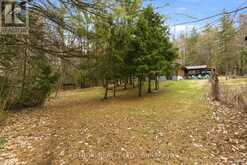 232 PARKS ROAD | Quinte West Ontario | Slide Image Forty-four