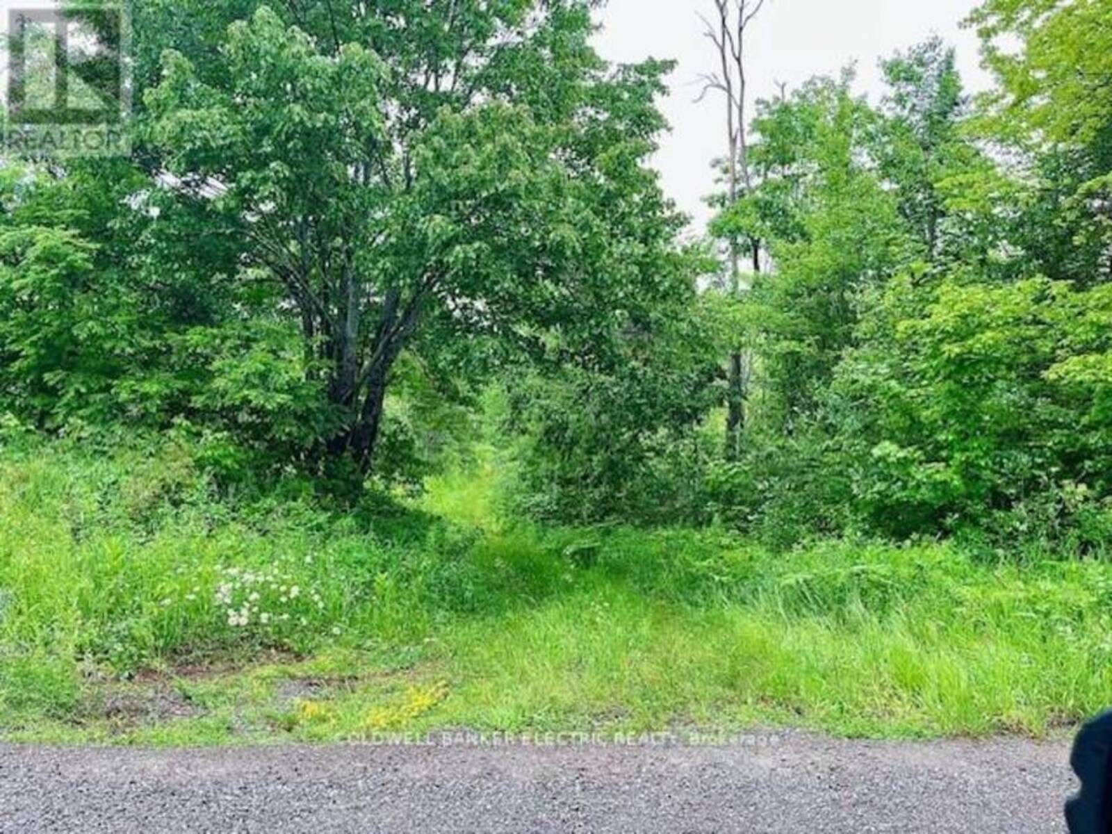 000 LASSWADE ROAD, Apsley, Ontario K0L 1A0