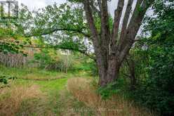 000 CROSSEN ROAD | Cobourg Ontario | Slide Image Eleven