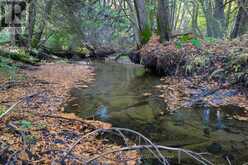 000 CROSSEN ROAD | Cobourg Ontario | Slide Image Thirty-two