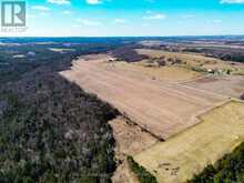 CON 7PT LOT 7 CENTURY FARM ROAD | Kawartha Lakes Ontario | Slide Image Four