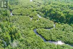 1752 HIGHWAY 35 S | Kawartha Lakes Ontario | Slide Image Thirty-six