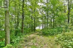 656 A YARROW LANE | Marmora Ontario | Slide Image Thirty-three