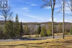 27158 HIGHWAY 28 SOUTH | Bancroft Ontario | Slide Image Forty-one