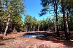 593 COUNTY 40 ROAD | Asphodel-Norwood Ontario | Slide Image One