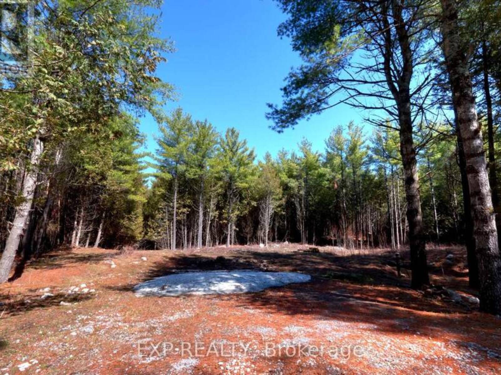 593 COUNTY 40 ROAD, Asphodel-Norwood, Ontario K0L 2V0