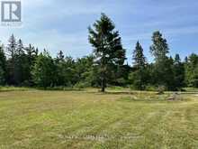 380 LEDGE ROAD | Bobcaygeon Ontario | Slide Image Forty-seven