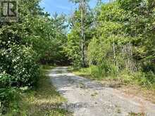 380 LEDGE ROAD | Bobcaygeon Ontario | Slide Image Forty-eight