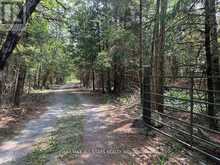 380 LEDGE ROAD | Bobcaygeon Ontario | Slide Image Six