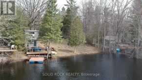 359 REGO ROAD | Campbellford Ontario | Slide Image Two