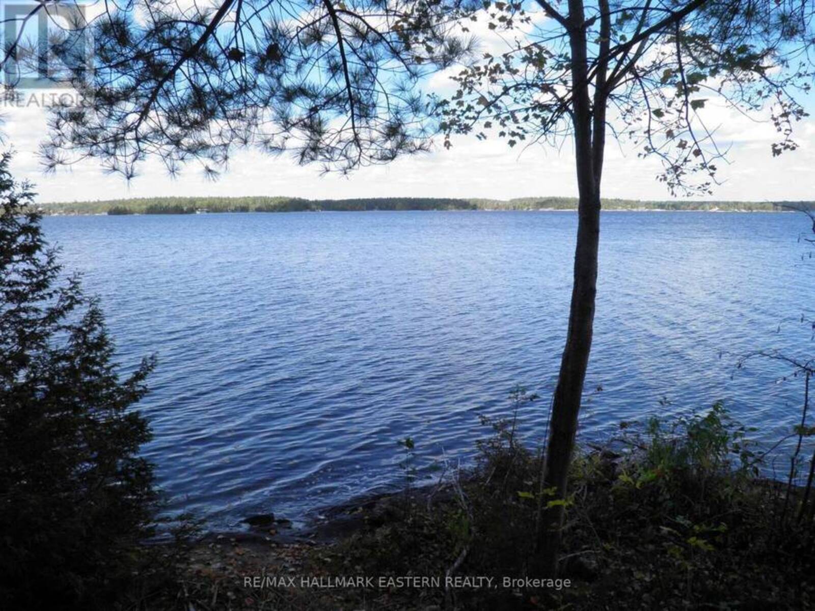 1420 ISLAND 76 STONEY LAKE, North Kawartha, Ontario K0L 2H0