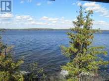 1420 ISLAND 76 STONEY LAKE | North Kawartha Ontario | Slide Image Eleven