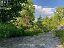 0 PT LT 32 COUNTY ROAD 49 ROAD | Bobcaygeon Ontario | Slide Image Four