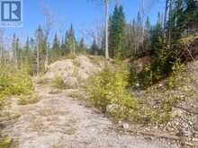 0 PT LT 32 COUNTY ROAD 49 ROAD | Bobcaygeon Ontario | Slide Image Six