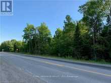 0 PT LT 32 COUNTY ROAD 49 ROAD | Bobcaygeon Ontario | Slide Image Three