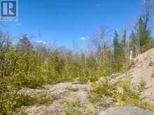 0 PT LT 32 COUNTY ROAD 49 ROAD | Bobcaygeon Ontario | Slide Image Five