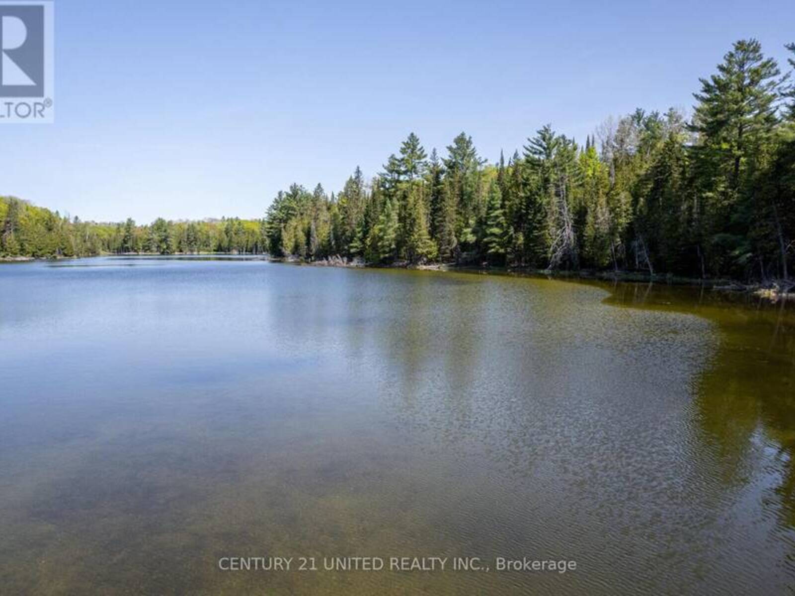 0 JOHNSON ROAD, Apsley, Ontario K0L 1A0