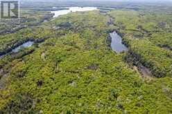 0 JOHNSON ROAD | Apsley Ontario | Slide Image Twelve