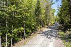 0 JOHNSON ROAD | Apsley Ontario | Slide Image Fourteen