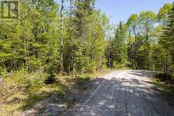 0 JOHNSON ROAD | Apsley Ontario | Slide Image Fifteen
