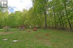 223 CLARK LAKE ROAD | Bancroft Ontario | Slide Image Thirty-two