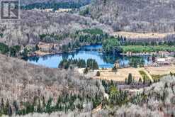 223 CLARK LAKE ROAD | Bancroft Ontario | Slide Image Thirty-four