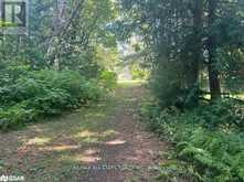 LOT 45 RIVER ROAD | Fenelon Falls Ontario | Slide Image One