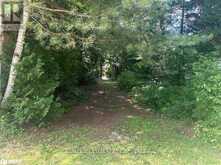 LOT 45 RIVER ROAD | Fenelon Falls Ontario | Slide Image Two