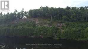 2556A ROAD 506 ROAD | Addington Highlands Ontario | Slide Image Sixteen