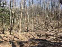 5192 HWY 620 | Coe Hill Ontario | Slide Image Two