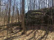 5192 HWY 620 | Coe Hill Ontario | Slide Image Four
