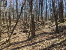 5192 HWY 620 | Coe Hill Ontario | Slide Image Three
