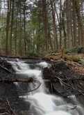 5192 HWY 620 | Coe Hill Ontario | Slide Image Nine