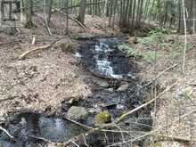 5192 HWY 620 | Coe Hill Ontario | Slide Image Eight