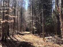 5192 HWY 620 | Coe Hill Ontario | Slide Image Fifteen