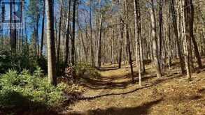 5192 HWY 620 | Coe Hill Ontario | Slide Image Seventeen