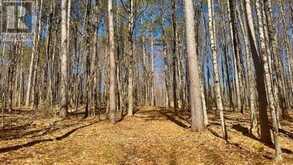 5192 HWY 620 | Coe Hill Ontario | Slide Image Eighteen